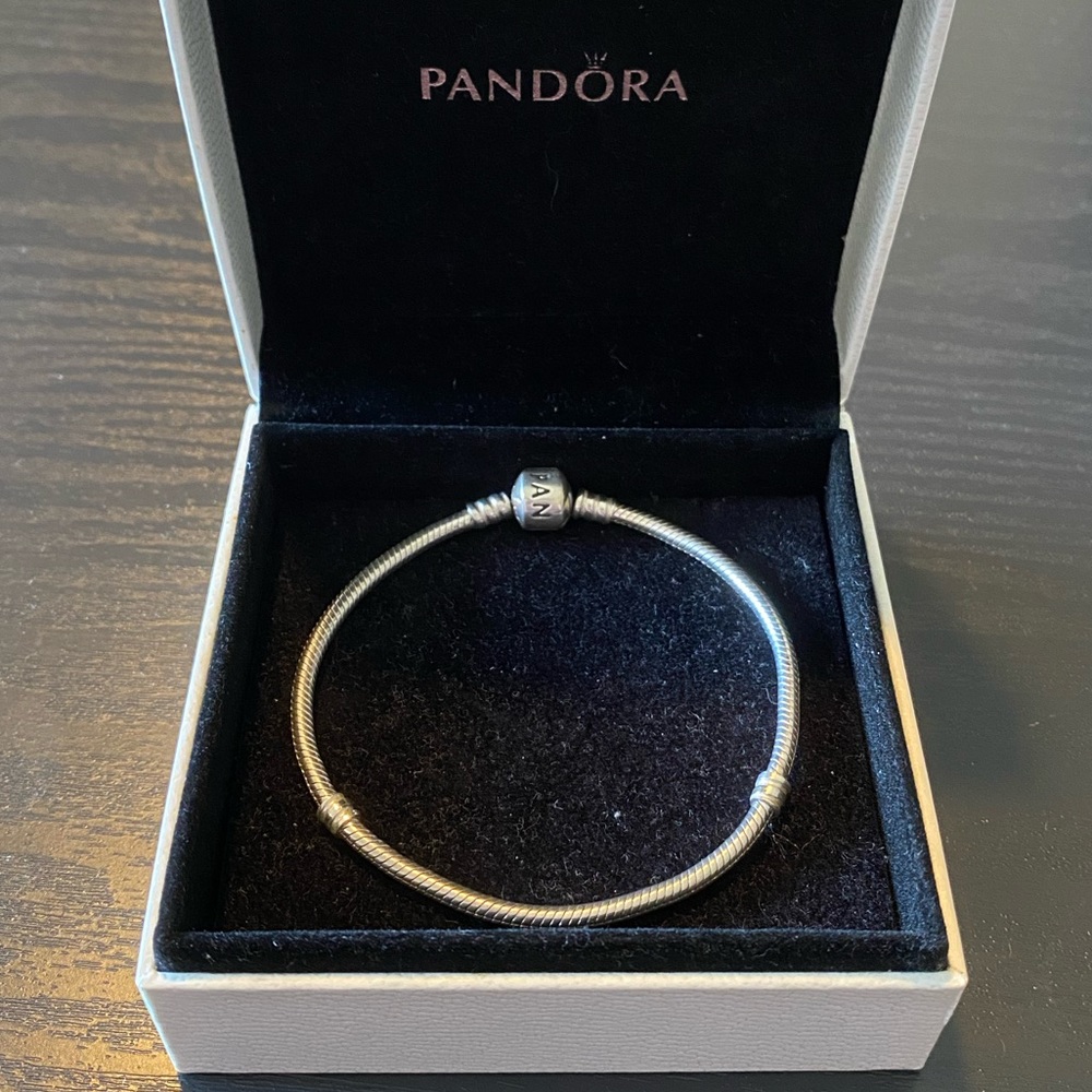 Pandora Charm Bracelet